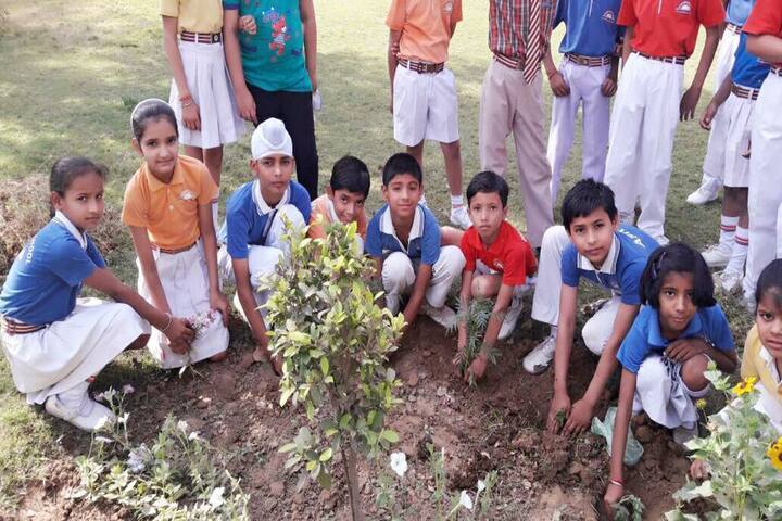 Loyal Public School-Plantation
