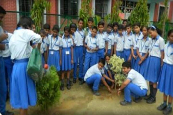 Lucknow Public College-Plantation