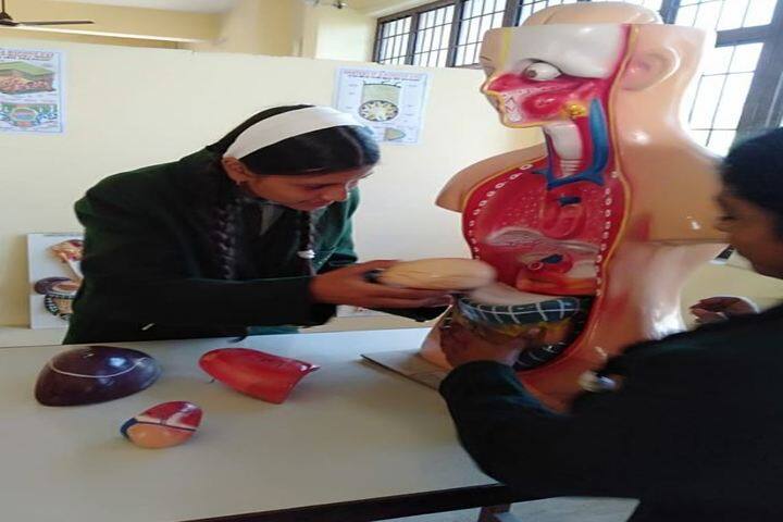 M T S Public School-Biology Lab