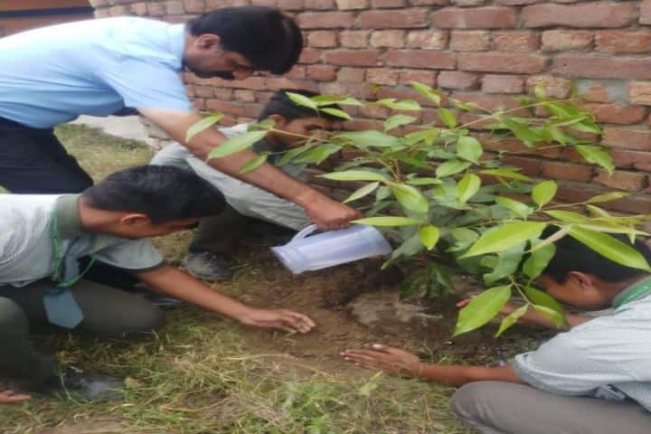 M T S Public School-Tree Plantation