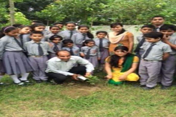 Sushila Educational Institute-Tree Plantation
