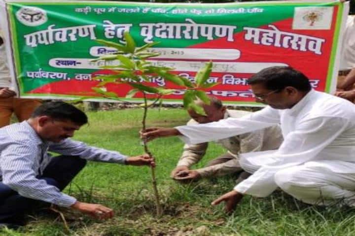 Maharishi Vidya Mandir-Tree-Plantation