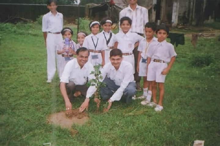 Maharishi Vidya Mandir-Plantation
