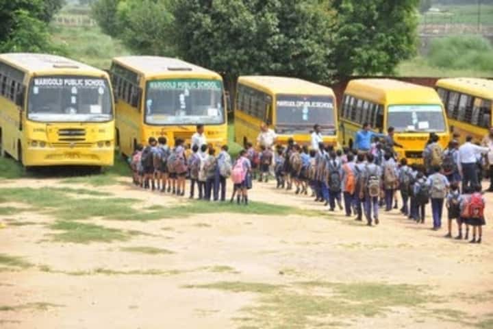 Marigold Public School-Transport