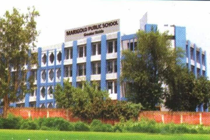 Marigold Public School-Campus view