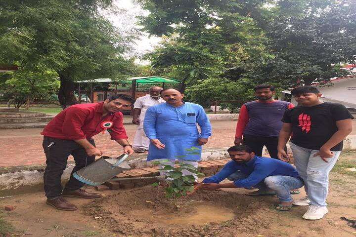 Minerva Public School-Tree Plant