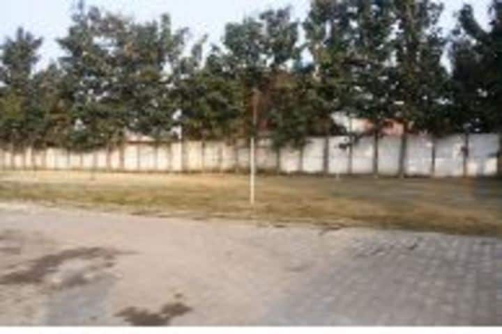 MIS International School-Playground