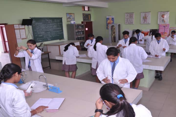Modern School-Biology lab