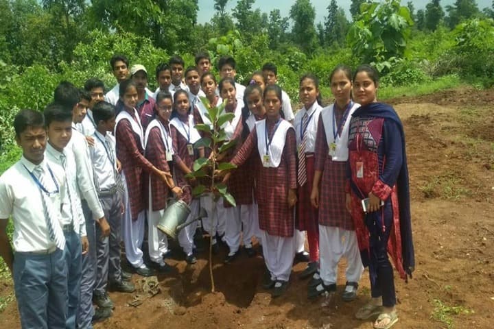 Moon Star English School-Tree Planting