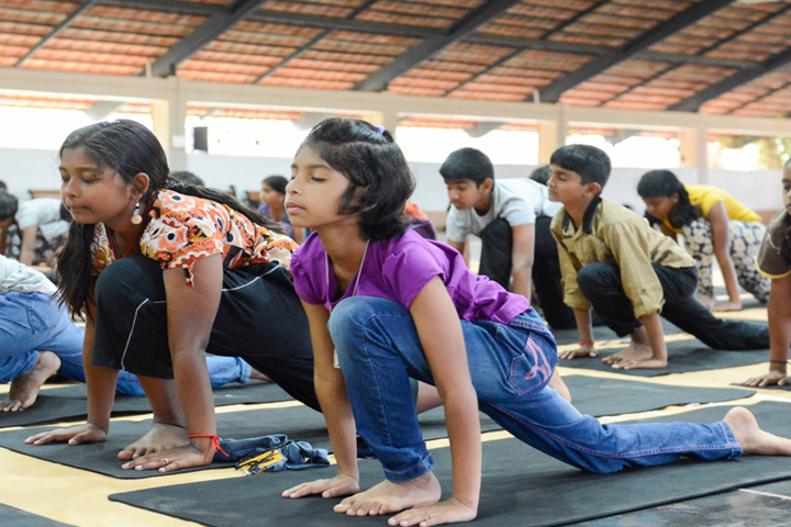 Mother Land Public School-Yoga Activity