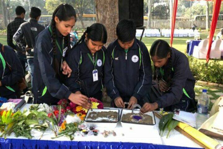 Mount Litera Zee School-Flower Show