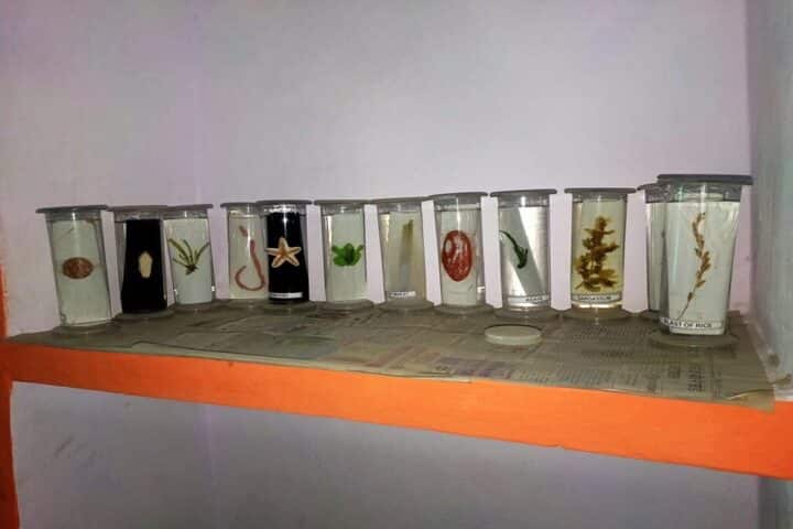 Mytech Convent School-Biology Lab