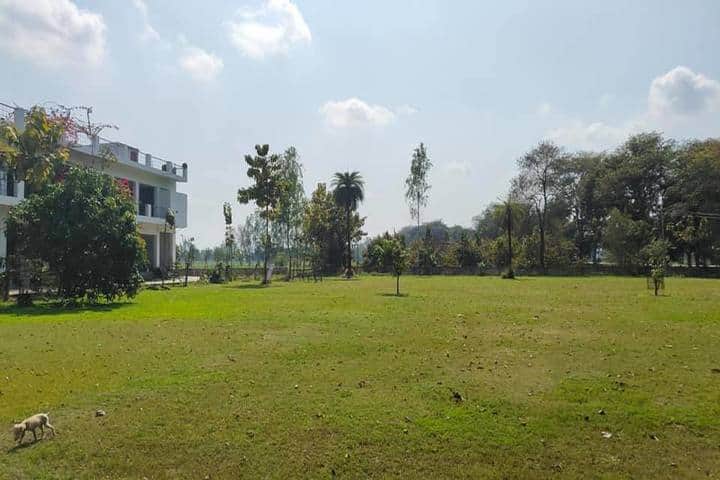 National Public School-Playground