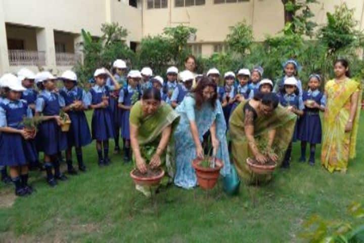 Navayuga Radiance School-Tree Plantation