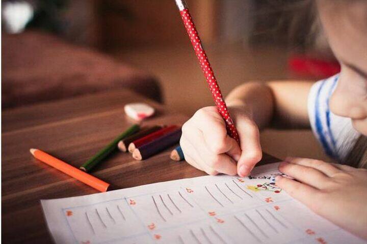 New Blooms Public School-Drawing Competition
