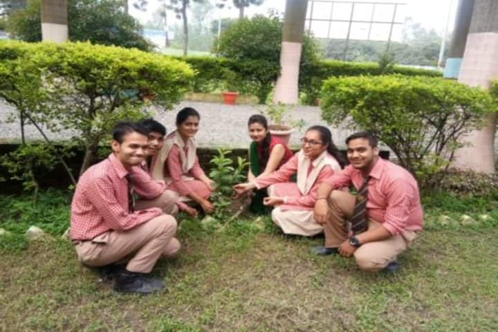 New Era English Academy-Tree Plantation