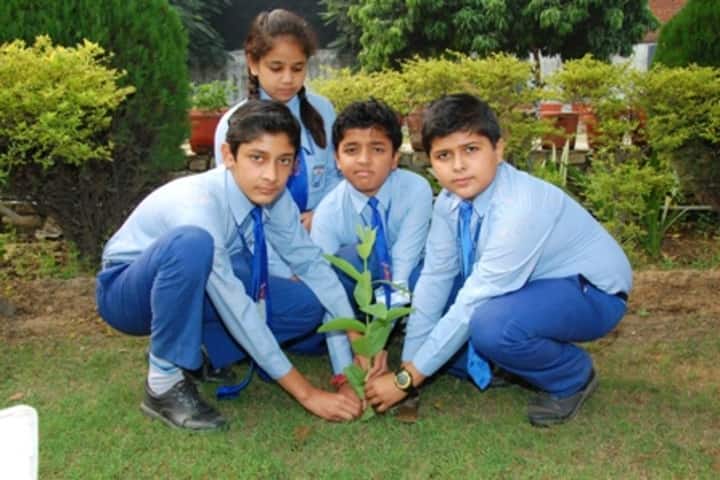 New Horizon School-Tree Plantation