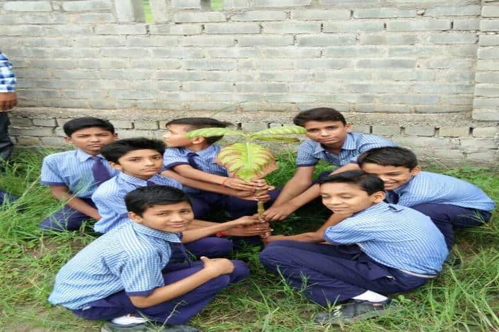 New Lucknow Public School-Tree Plantation