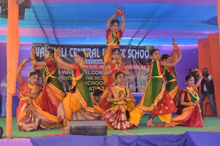 Vaishali Central Public School-Cultural Activity