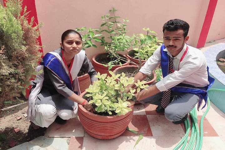 New Public College-Tree Plantation