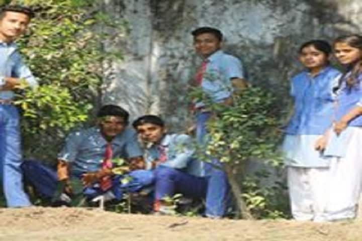 Ops International School-Tree Plantation
