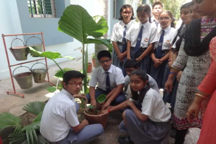Oxford Green Public School - Tree planting