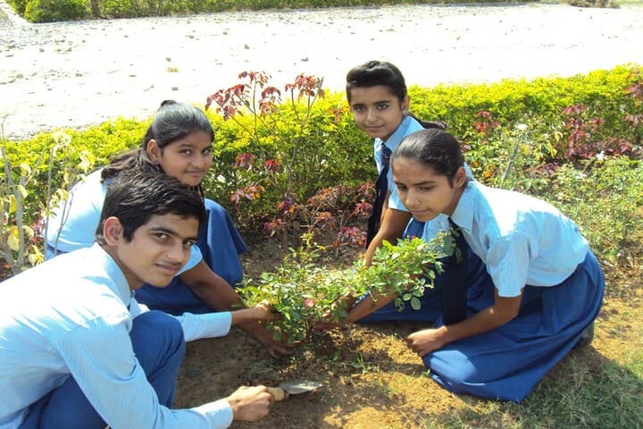 Param Public School-Tree Planting