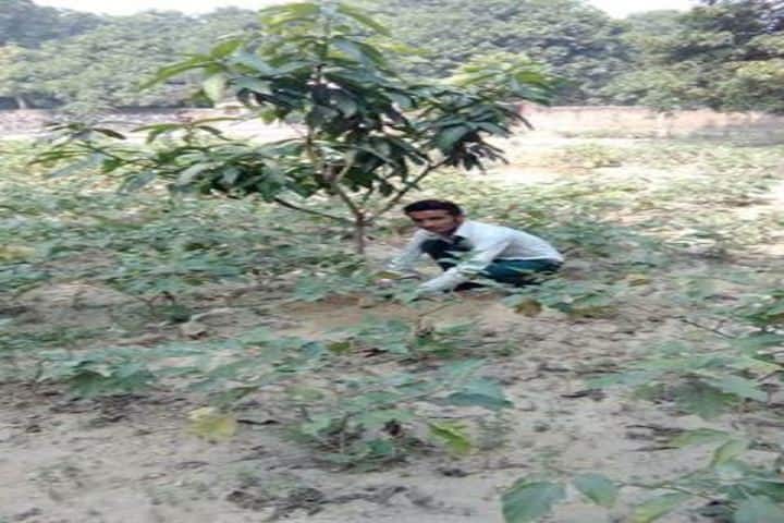 Vidyapati Public School- tree plantation