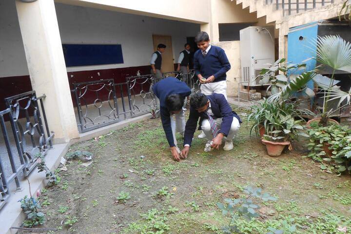 Police Modern School-Tree Plantation