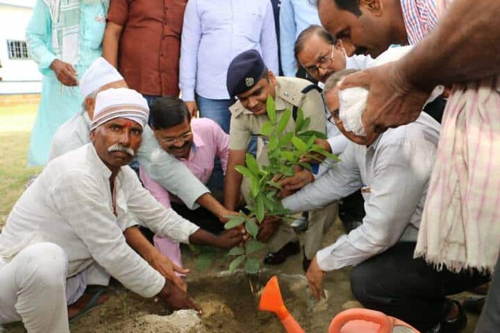 Vigyananand Kendriya Vidyalaya-Tree Plantation