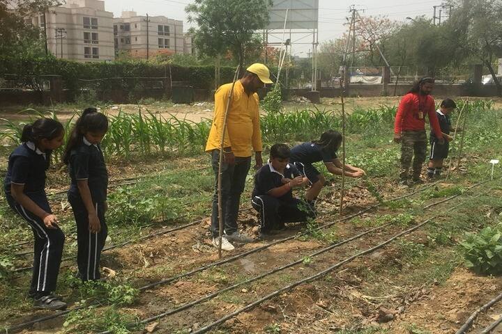 Pragyan School-Tree Plantation