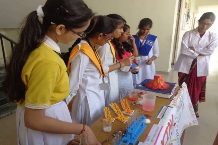 Prasad International School-Science Exhibition