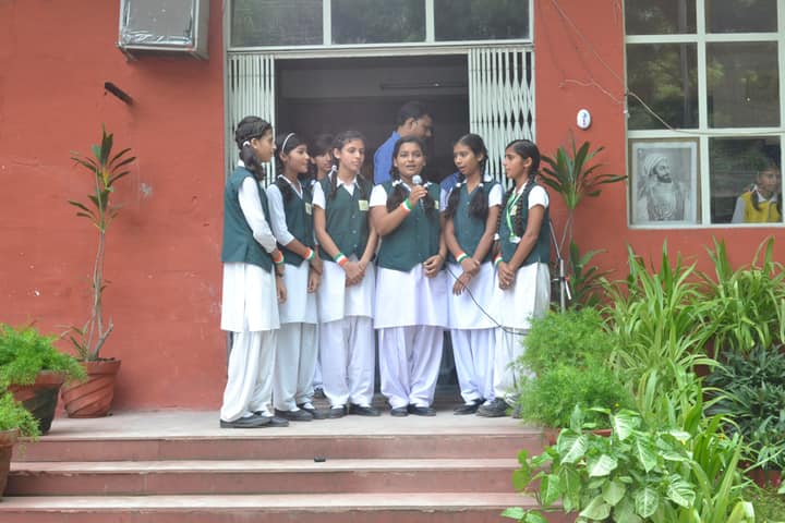 Premier International School-Independence Day