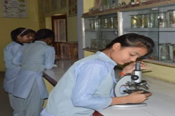R P M Public School-Biology Lab