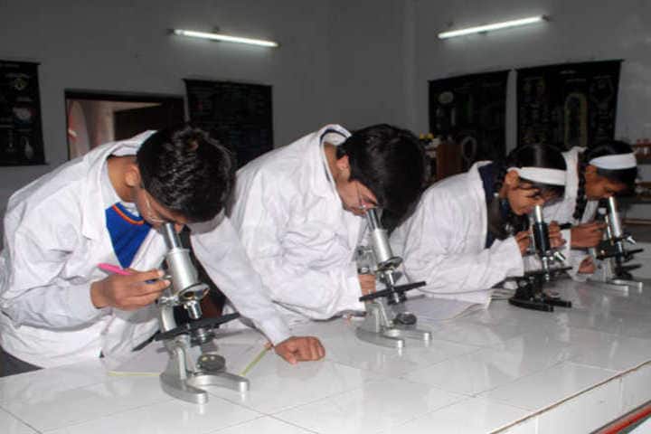 R R Morarka Pub School-biology lab