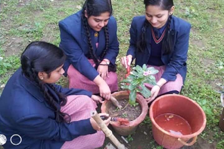 R S D Academy Public School-Gardening