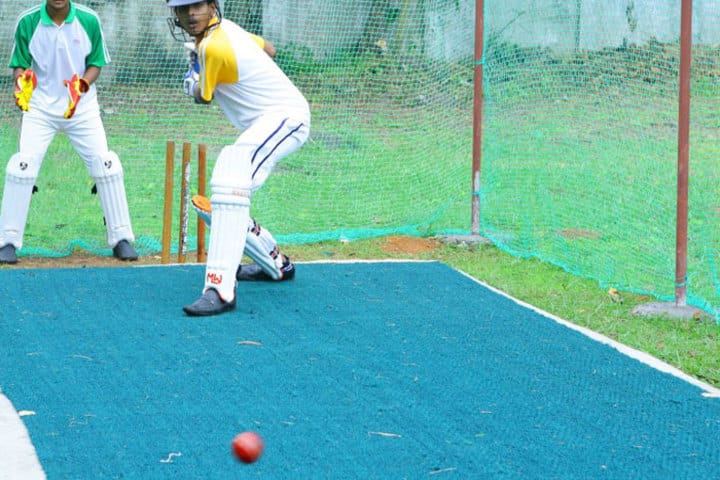 R D S Education Institute-Cricket Pitch