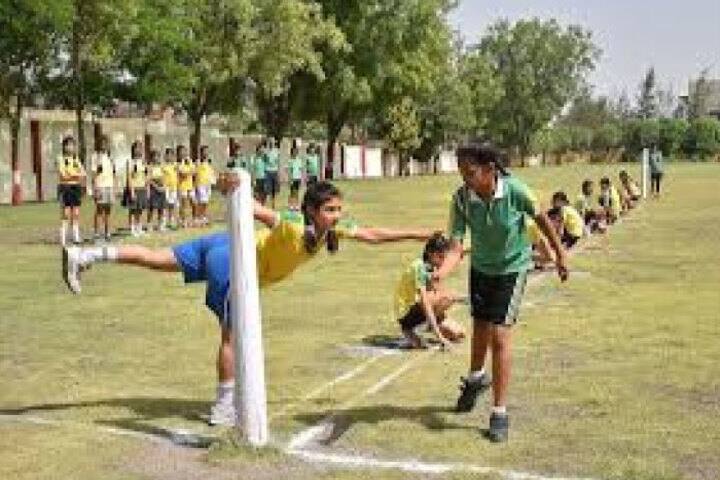 R D S Education Institute-Play Area