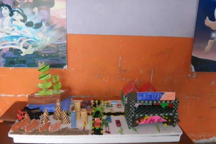 Ramshree Public School-Science Fair