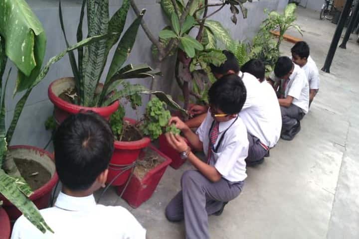 Rani Laxmi Bai Memorial School-Environment Day