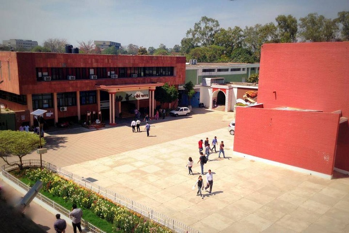 D A V College-Campus View