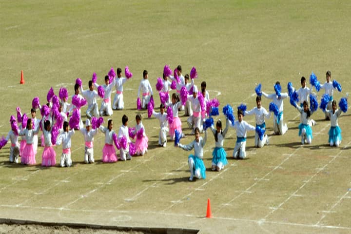 DAV Public School-Dance Performs