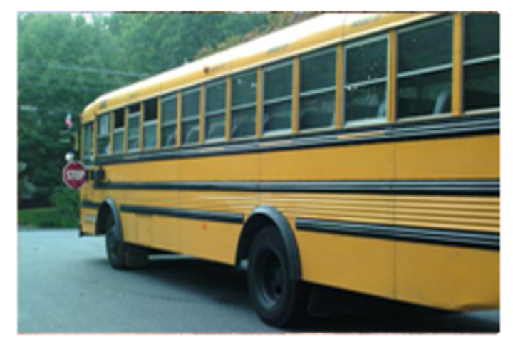 Rosy Public School- transport
