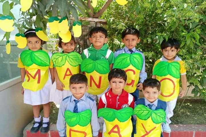 S B R L Vaish Residential Educational Public Academy-Mango Day