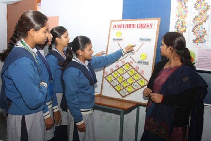S G Public School-Project Explanation
