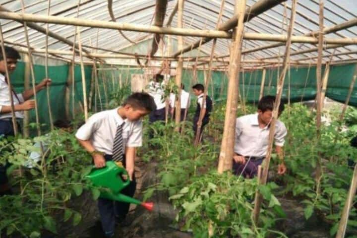 Government High School-Watering Plants