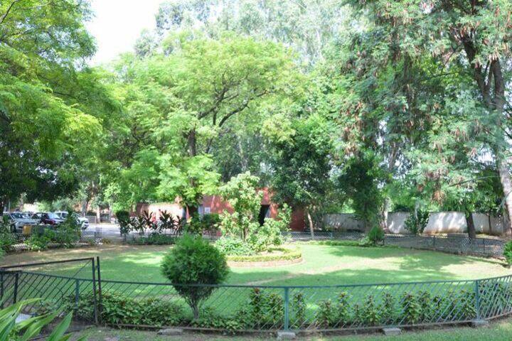 Government Girls Senior Secondary School-Garden Area