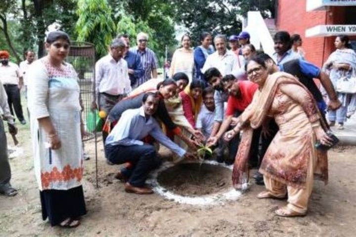 Government Girls Senior Secondary School-Planting Tree