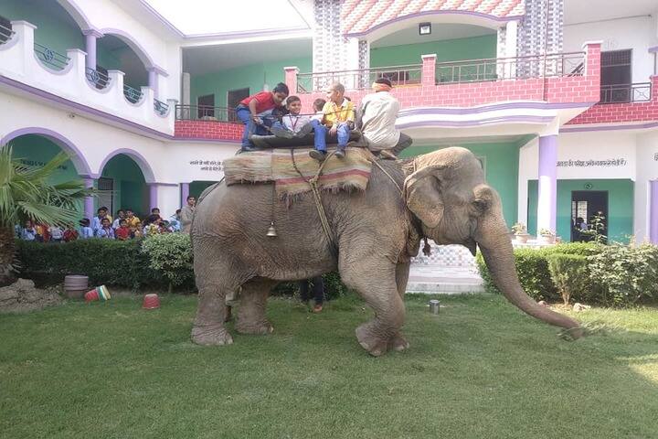 Satya Dharm Public School-Fun