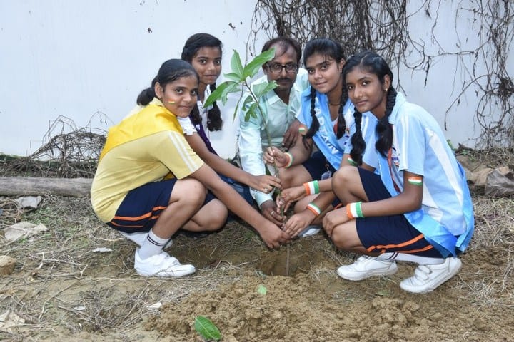 Seth M R Jaipuria School-Tree Plantation